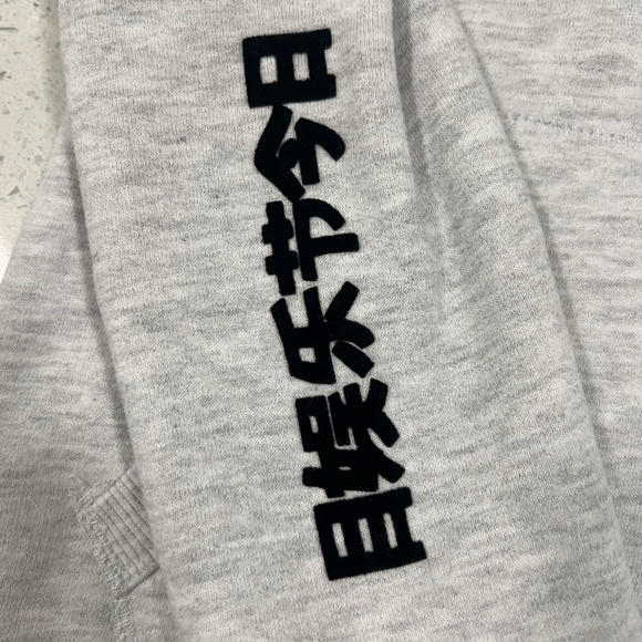 SUPERDRY Grey with Velvet Lettering Hoodie Women's Size 6 - Picture 3 of 6